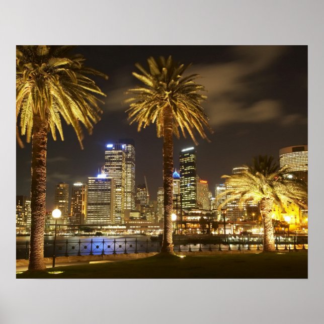 Póster Palm Trees e CDB à Noite, Sydney, Novo Sul (Frente)