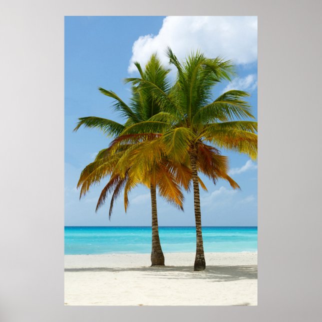 Poster Palm Treine Beach Blue Sea Sky Sunny Day (Frente)