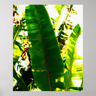 Póster Palm Watercolor