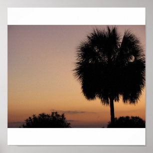 Póster Palma de Charleston