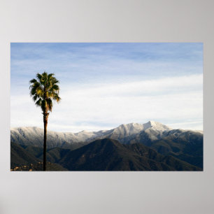 Póster Palma de Ojai