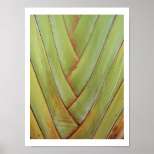 Póster Palma de Viajante