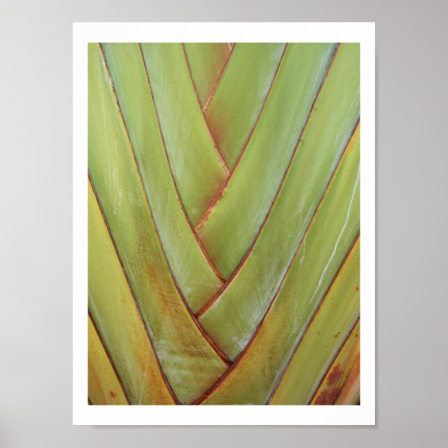 Póster Palma de Viajante (Frente)