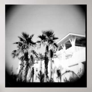 Póster Palma Preta e Branca