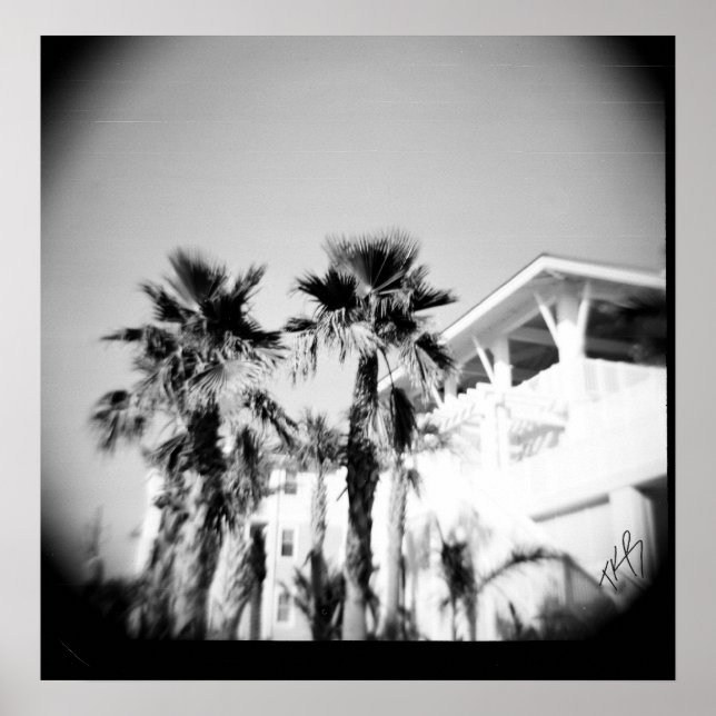 Póster Palma Preta e Branca (Frente)