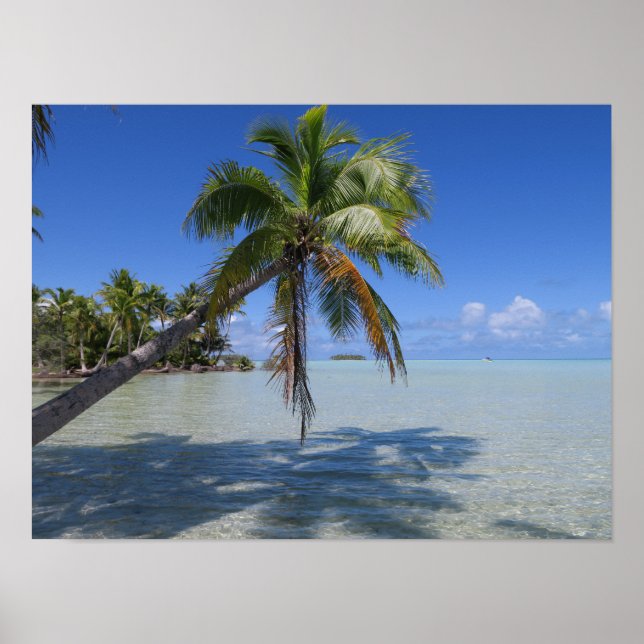 Poster Palma Tropical de Rangiroa Blue Lagoa (Frente)