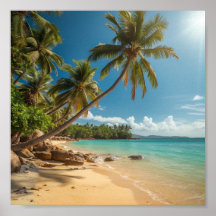 Palma tropical sobre a água