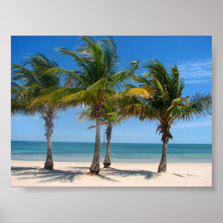 Póster Palmas-chave Biscayne