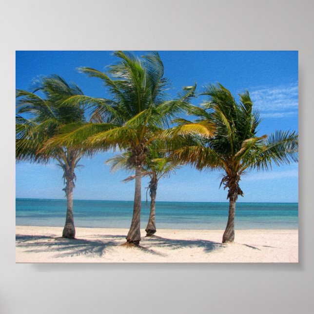 Póster Palmas-chave Biscayne (Frente)