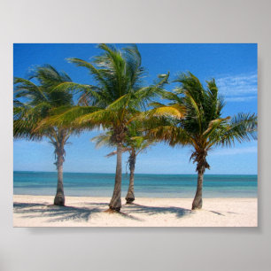 Póster Palmas de Key Biscayne