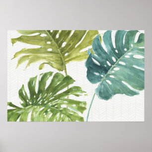 Poster Palmas tropicais misturadas dos verdes  