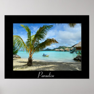 Poster Palmeira e pôster de resort sobre água com preto