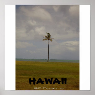 Póster Palmeira havaiana