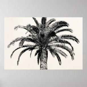 Poster Palmeira tropical retro da ilha em preto e branco