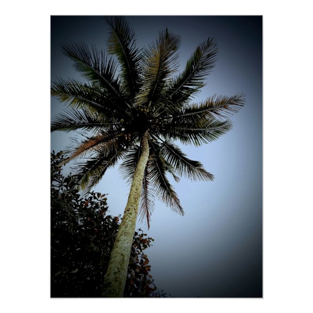 Póster Palmeiras (Frente)