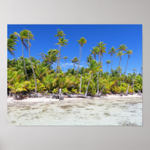 Poster Palmeiras de Rangiroa