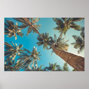 Poster Palmeiras no vintage tropical da praia