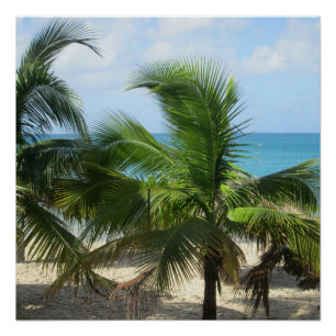 Póster Palmeiras tropicais