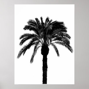 Poster palmeiras tropicais brancas e pretas