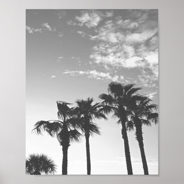 Poster Palmeiras tropicais, de sol, de preto e branco (Frente)
