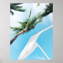Palmeiras tropicais sob fotografia de céu azul