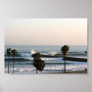 Póster Palms and Waves