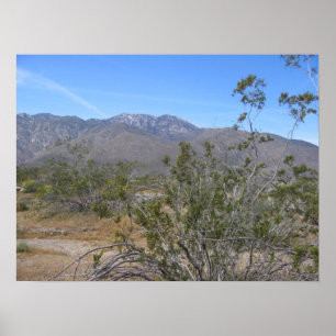 Póster PalmSprings (26)