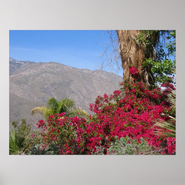 Poster PalmSprings (4) (Frente)