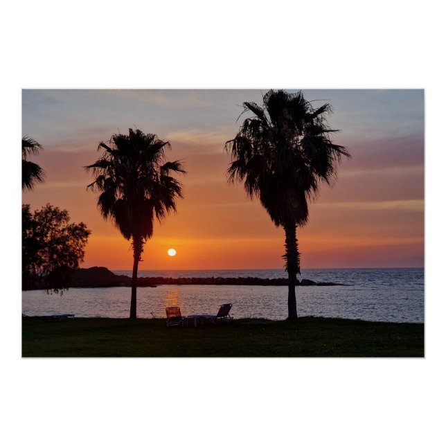 Póster Palmtree sunset  (Frente)