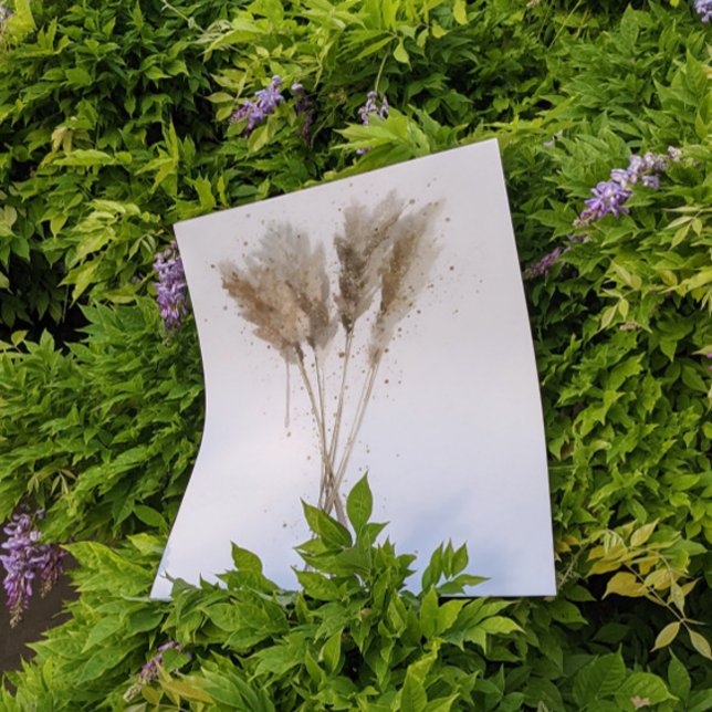 Poster Pampas Grass (Criador carregado)