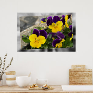 Poster Pancas amarelas violetas