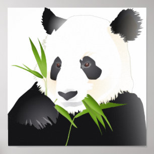 Poster Panda Bear