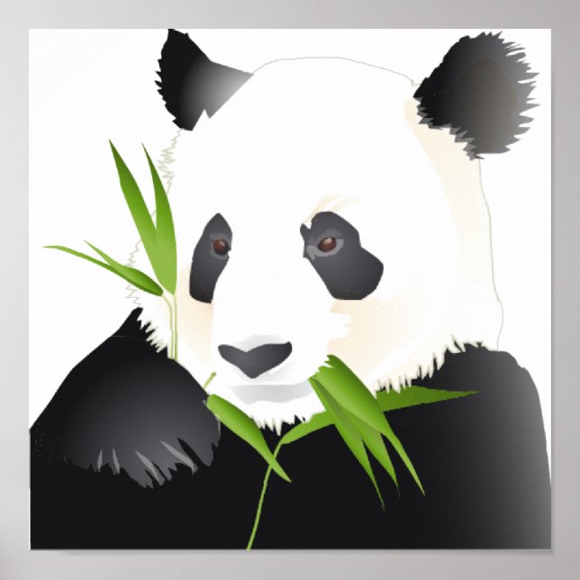 Poster Panda Bear (Frente)