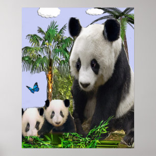 Poster Panda Bears