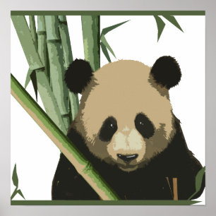 Poster Panda de bambu