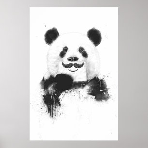 Póster Panda engraçada