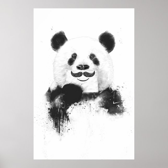 Póster Panda engraçada (Frente)