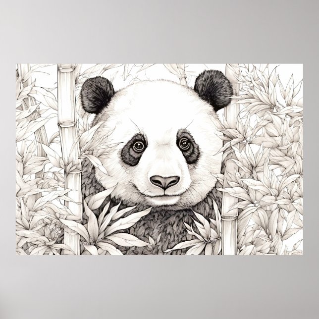 Poster Panda Peaceful Nature Prairie Estilo de Desenho (Frente)