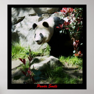 Póster Panda Smile