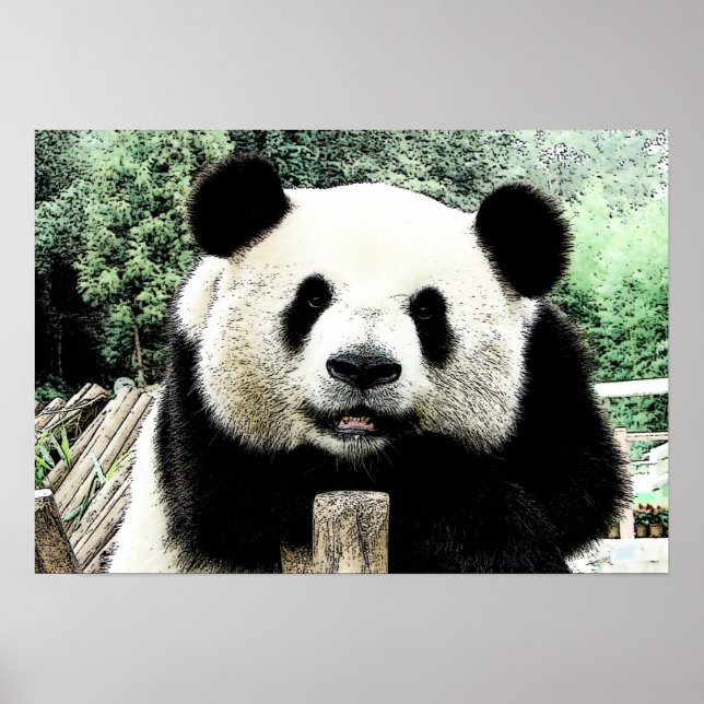 Poster Panda Trabalho de arte (Frente)