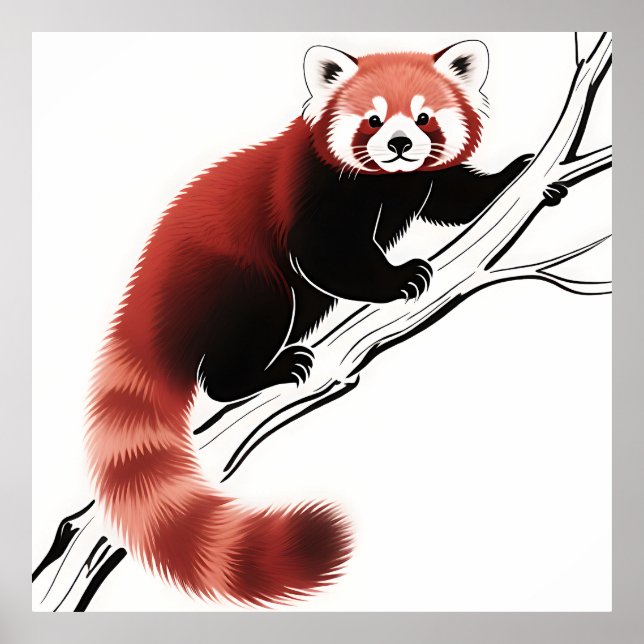 Poster Panda Vermelho Empoleirado no Galho (Frente)