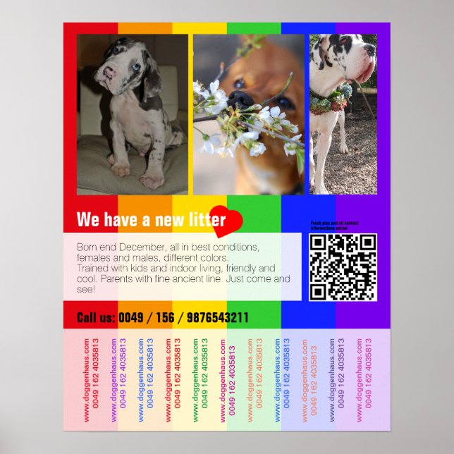 Poster Panfleto de venda de cachorro com código QR (Frente)