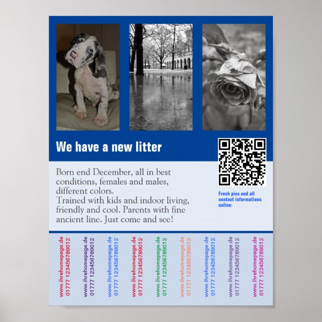 Poster Panfleto de venda de cachorro com código QR (Frente)