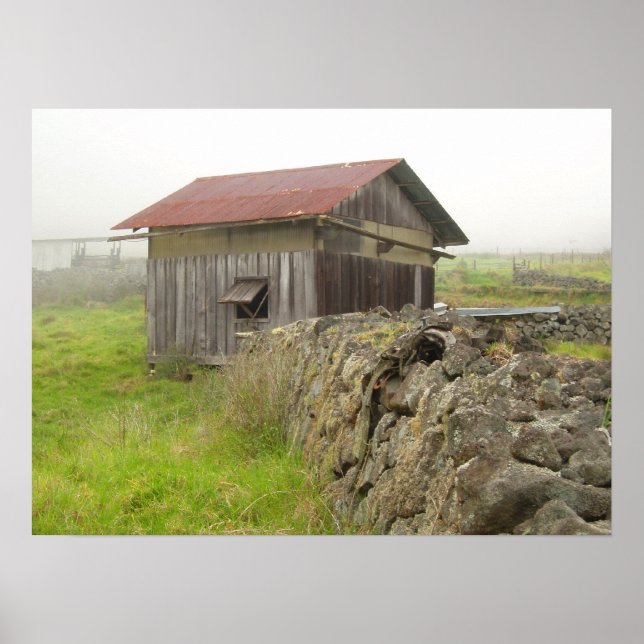 Póster Paniolo House (Frente)