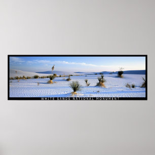 Poster Panorama da mandioca