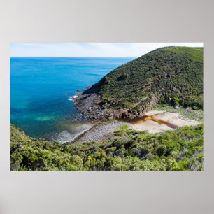 Poster Panorama de Cachorama Profundo