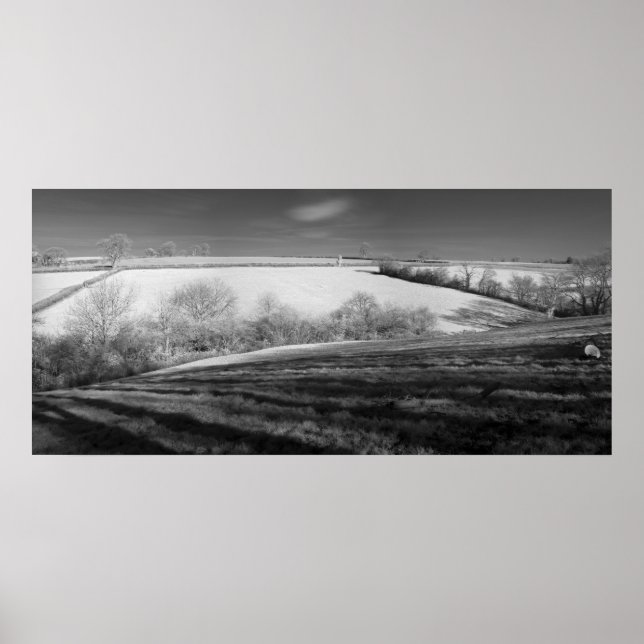 Poster Panorama de inverno (Frente)