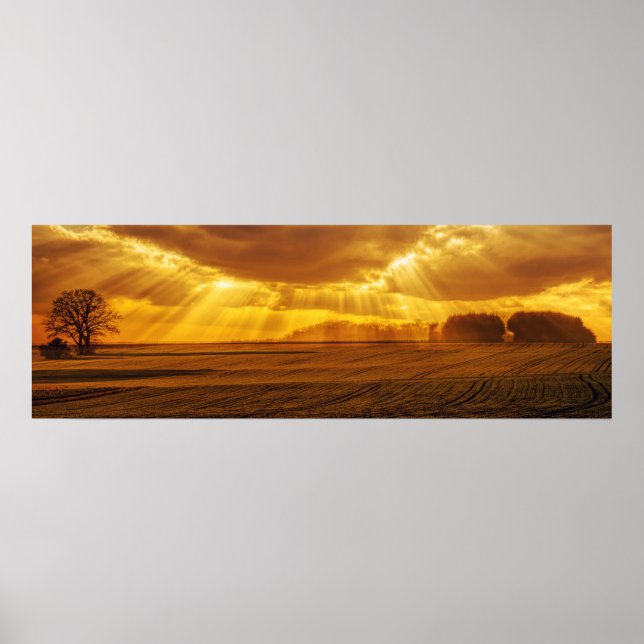 Poster Panorama do Sunset Countryside (Frente)