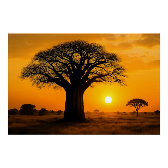 Póster Panorama zur goldenen Stunde am Baobab-Baum (Frente)