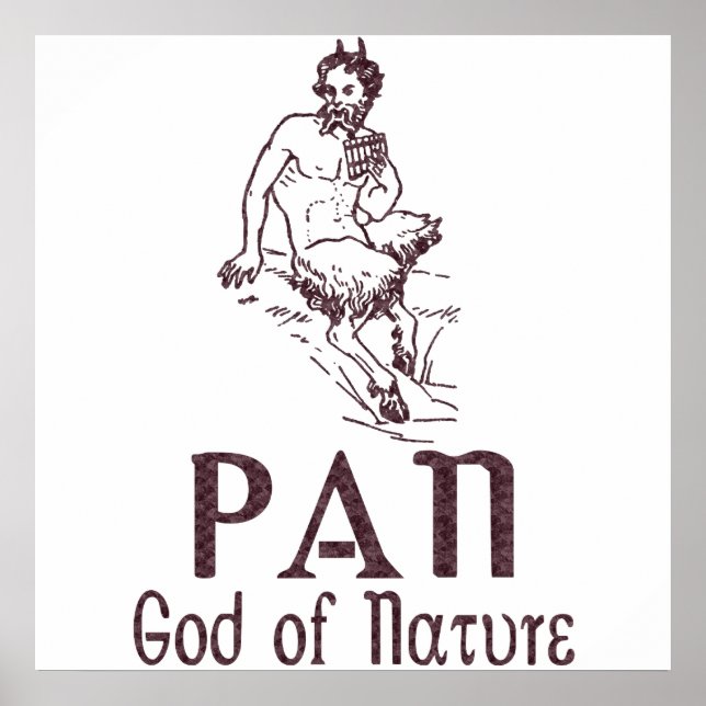 Póster Panorâmica (Frente)